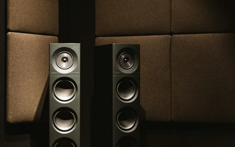 Whole-home audio