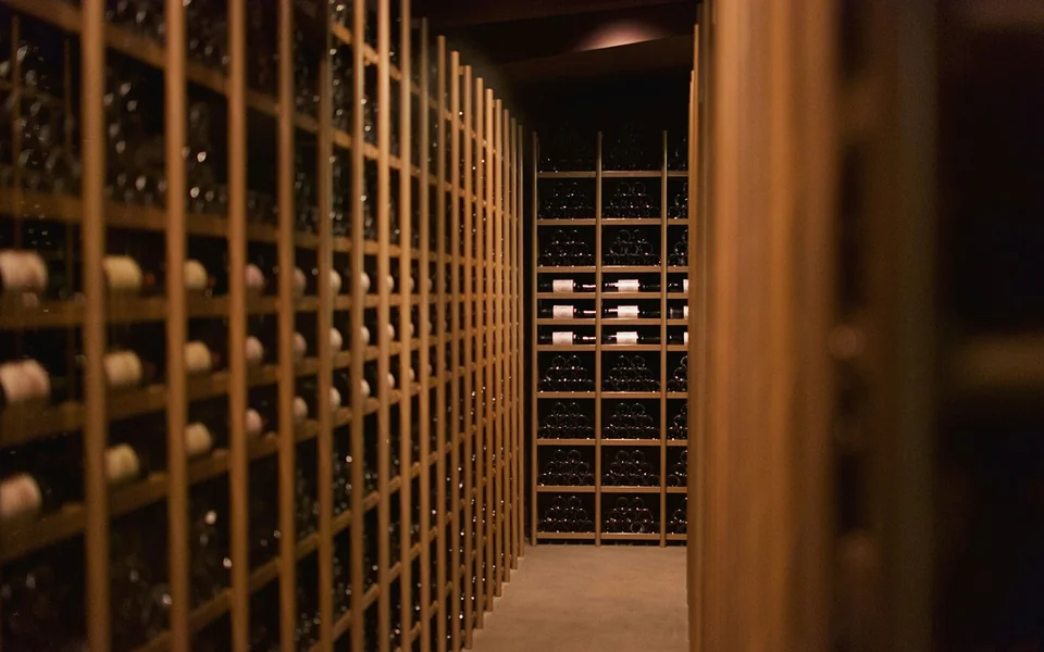 Wine room with wall-mounted bottle storage